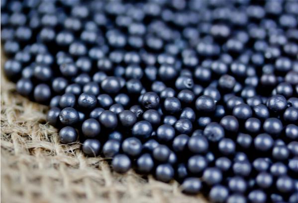 ������Ј�(ch��ng)�Б�(y��ng)�÷�������Щ��